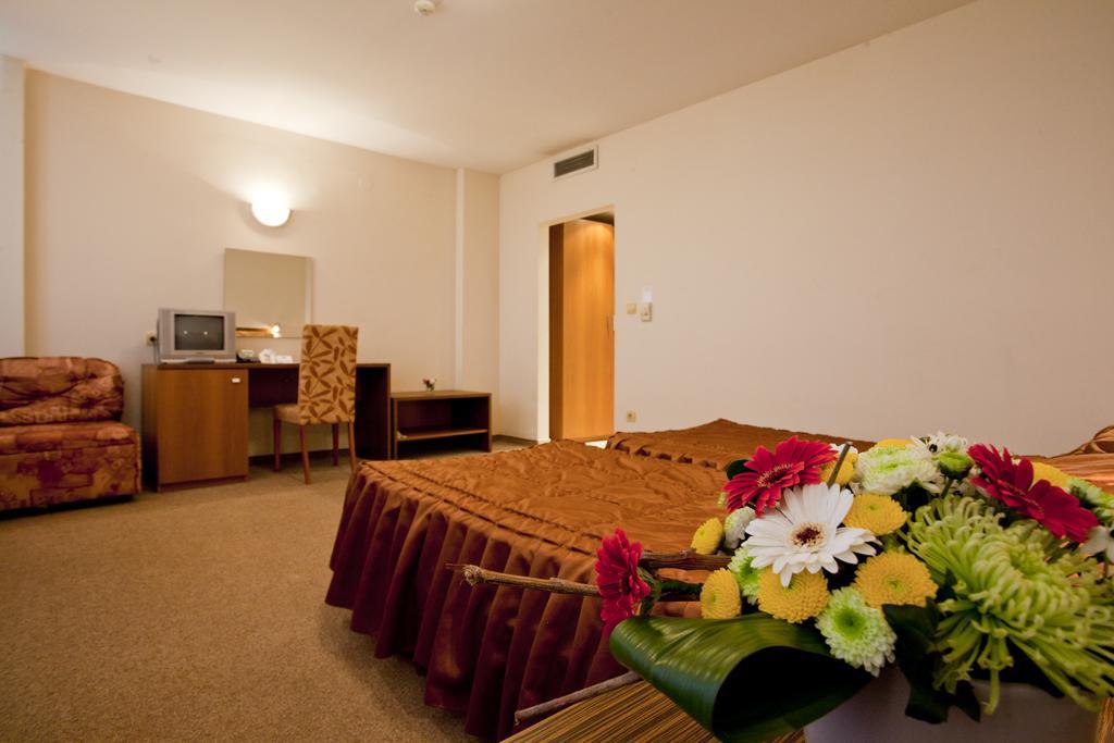 Hotel Intelcoop Plovdiv Rom bilde